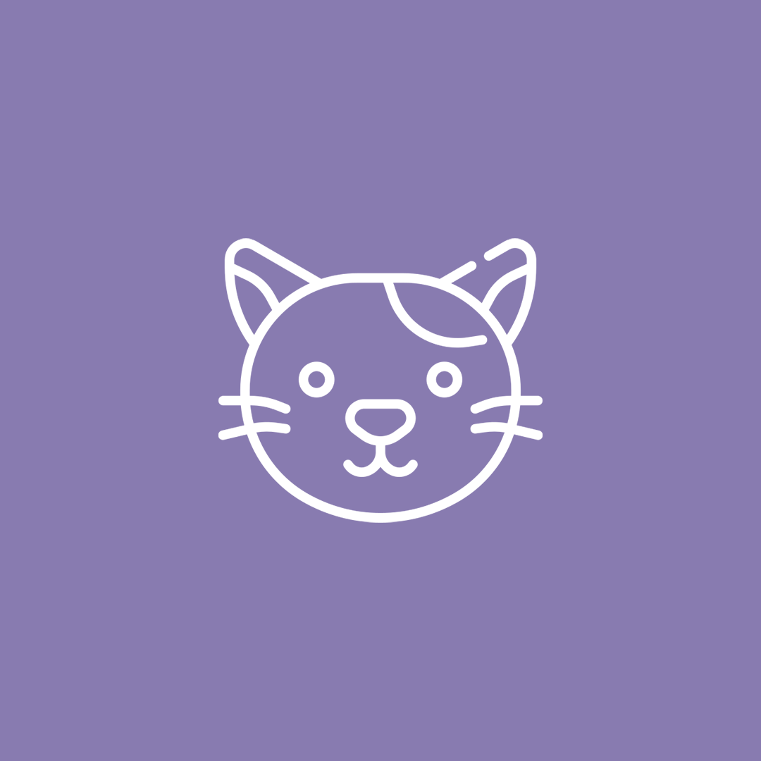 Favoritos dos gatos