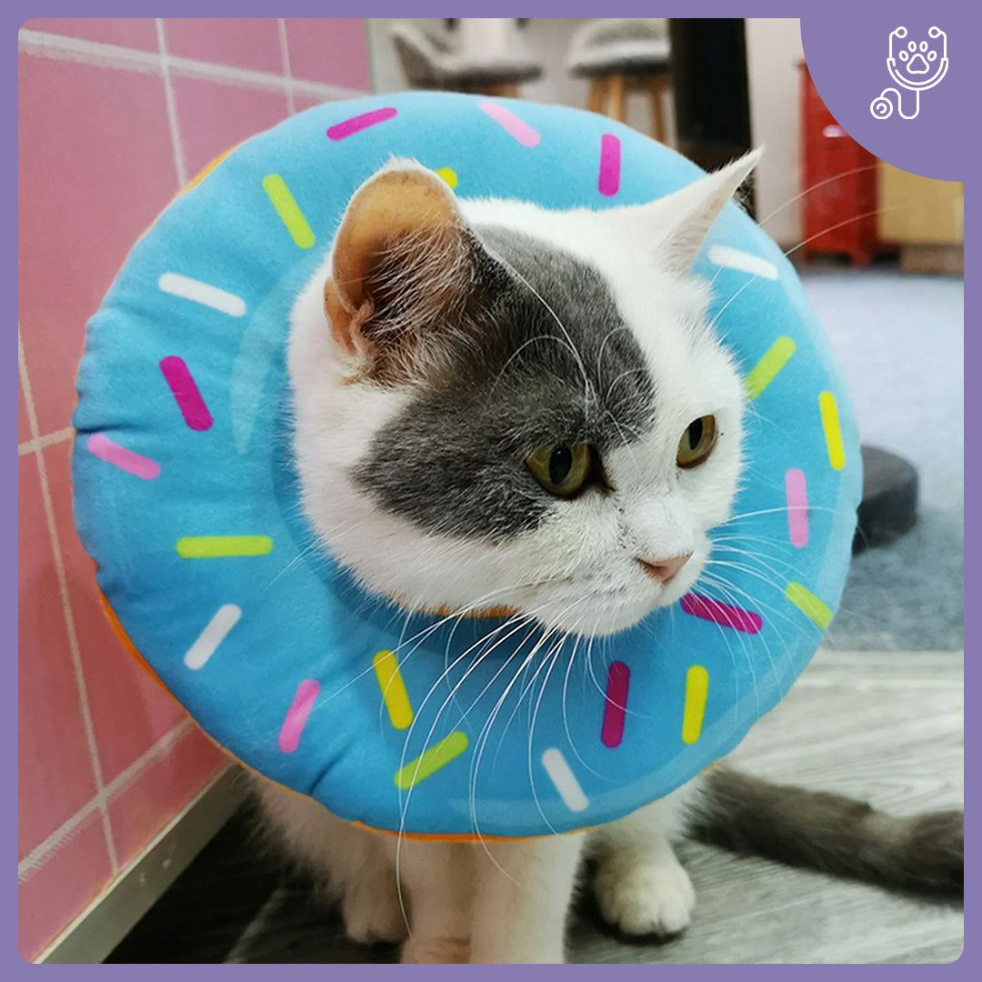 Protetor para recuperação Donut