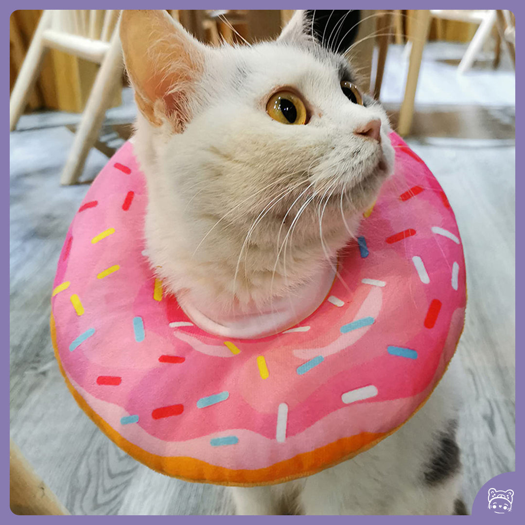 Protetor para recuperação Donut