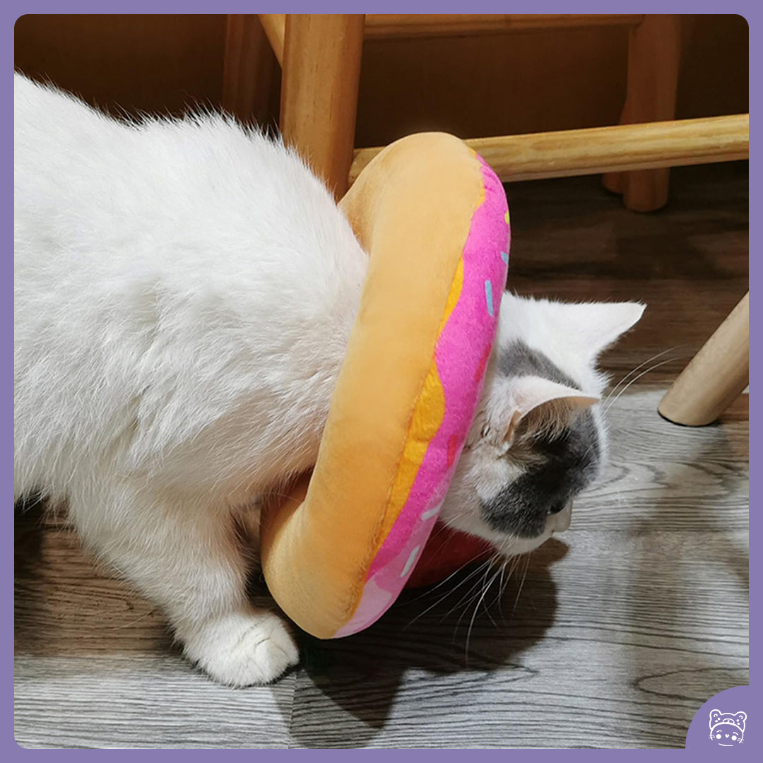 Protetor para recuperação Donut